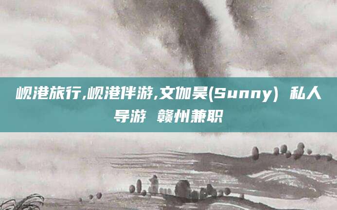 沧县岘港旅行,岘港伴游,文伽昊(Sunny) 私人导游 赣州兼职